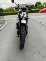 Triumph Scrambler X ´´2025 édition unique, Motoren, Motoren | Triumph, 2 cilinders, Bedrijf, ABS, Meer dan 35 kW