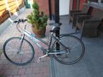 Fietsen, Fietsen en Brommers, Fietsen | Dames | Damesfietsen, 53 tot 56 cm, Versnellingen, Zo goed als nieuw, Ophalen