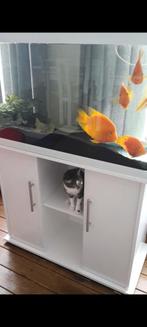 Aquarium, Animaux & Accessoires, Enlèvement, Utilisé, Aquarium vide