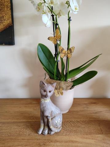 Chat, belle finition, Enlèvement ou Envoi, Utilisé, Animal