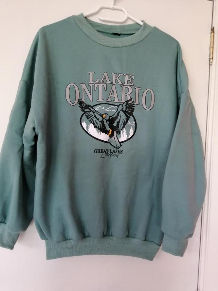 Sweatshirt voor dames, Kleding | Dames, Truien en Vesten, Zo goed als nieuw, Maat 38/40 (M), Groen, Ophalen of Verzenden