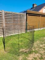 Puppy ren buiten, Dieren en Toebehoren, Ophalen, Gebruikt, 100 cm of meer