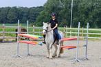 Super brave kinder pony, Dieren en Toebehoren, Ruin