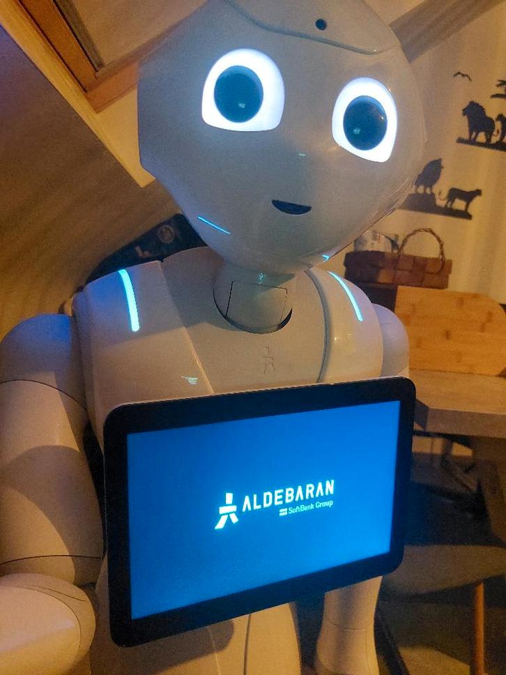 Softbank Pepper Humanoïde Robot, Divers, Divers Autre, Utilisé, Enlèvement ou Envoi