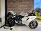 Ducati 848 Superbike Termignoni in topstaat racemotor, Motoren, Motoren | Ducati, 2 cilinders, 848 cc, Super Sport, Particulier