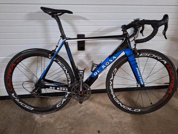 De rosa protos beschikbaar voor biedingen