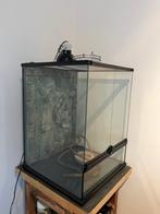 Terrarium Exoterra, Ophalen, Gebruikt, Terrarium of Paludarium
