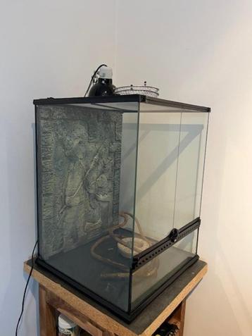 Terrarium Exoterra, Enlèvement, Utilisé, Terrarium ou Paludarium