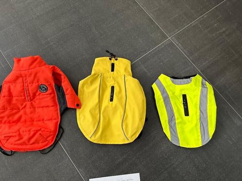 Kledij klein hondje teckel,……, Dieren en Toebehoren, Hondenkleding, Nieuw, Hondenvest, Ophalen