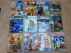 Lot de 12 magazines scientifiques pour jeunes, Ophalen of Verzenden, Gelezen, Non-fictie