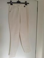 Paard rijbroek dames - meisjes nieuw, Dieren en Toebehoren, Paardrijkleding, Ophalen of Verzenden, Dames