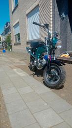 A klasse dax 387km nieuwe kleur gebruikte schaden, Fietsen en Brommers, Brommers | Honda, Ophalen