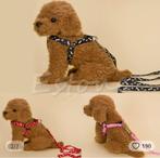 Kleine honden/katten aanpasbare nylon harnas met leiband, Dieren en Toebehoren, Nieuw, Hondenriem-accessoire, Ophalen of Verzenden