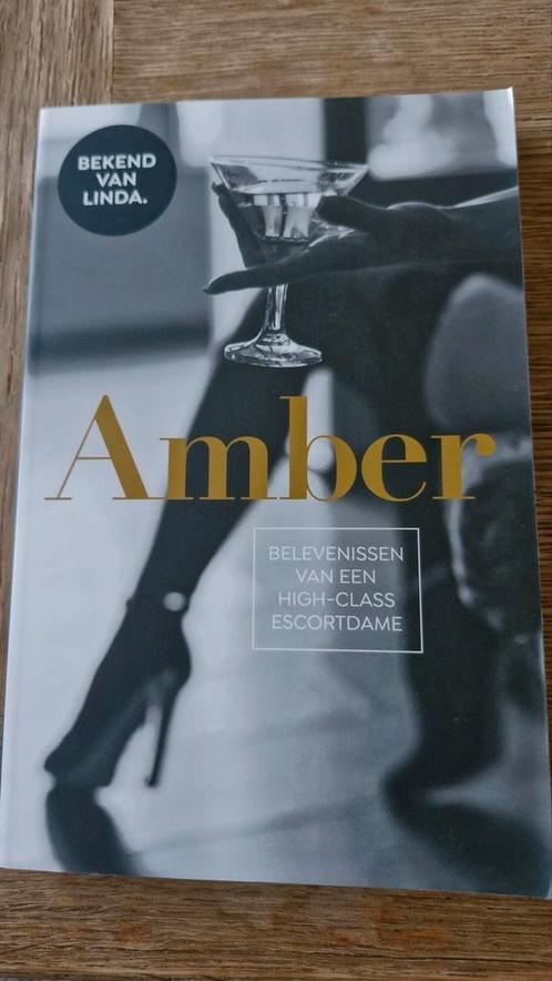 Amber van Esphen - Amber, Livres, Livres Autre, Comme neuf, Enlèvement ou Envoi
