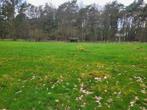 Weide te huur 4000m²