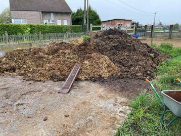 paardenmest, Tuin en Terras, Aarde en Mest, Ophalen, Mest