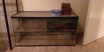 Glazen kooi / terrarium 1 meter