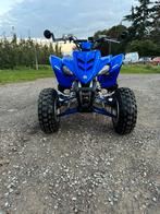 Quad yamaha raptor 350cc, Motoren