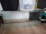 Terrarium/ hamsterscaping, Dieren en Toebehoren, Ophalen, Gebruikt