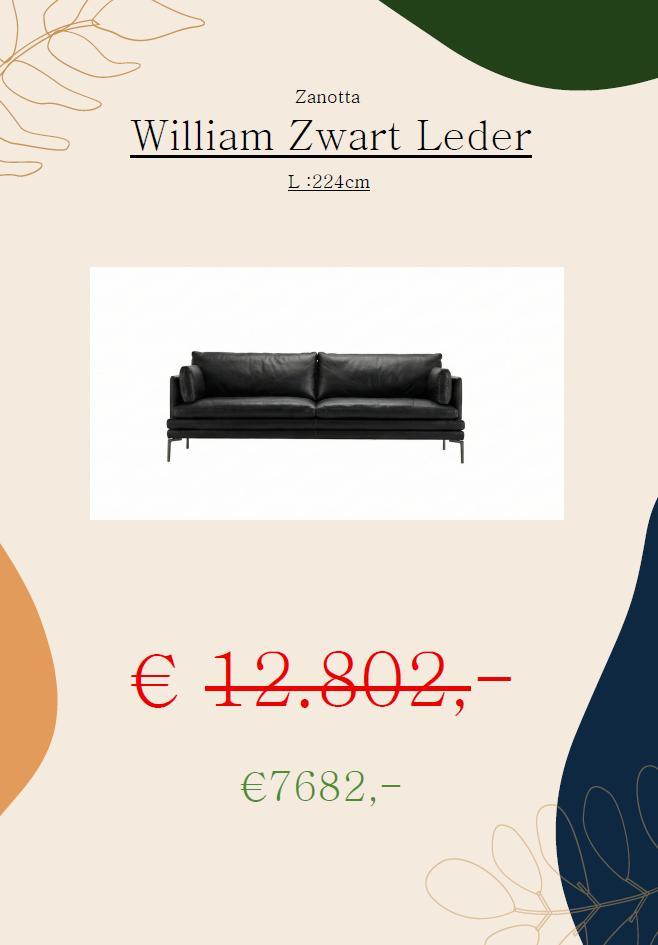 William Zanotta Zetel, Huis en Inrichting, Zetels | Zetels, Nieuw, Rechte bank, 200 tot 250 cm, 100 tot 125 cm, Leer, Metaal, Ophalen of Verzenden