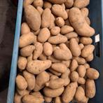 Vastkokende aardappelen, Zakelijke goederen, Landbouw | Aardappelen, Groenten, Fruit en Vlees, Ophalen