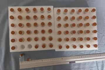 72 petites fioles en verre beschikbaar voor biedingen