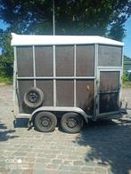 1,5 paardstrailer van het merk bcw kan met rijbewijs b, Dieren en Toebehoren, Paarden en Pony's | Trailers en Aanhangwagens, Ophalen