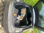 Auto, Auto's, Stof, A1, Bruin, Particulier