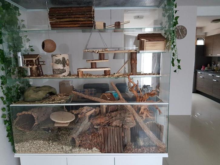Knaagdieren terrarium met witte profielen, Dieren en Toebehoren, Knaagdieren en Konijnen | Hokken en Kooien, Nieuw, Hok, Minder dan 60 cm