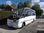 30+1 persoons stadsbus Iveco 65C (2005-262.214 km)(Wijn: ZCF, Iveco, Overige brandstoffen, Bedrijf, Te koop