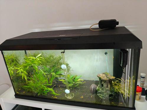 Juwel Aquarium 110L met 1j garantie!! + EXTRA, Dieren en Toebehoren, Vissen | Aquaria en Toebehoren, Zo goed als nieuw, Ophalen of Verzenden