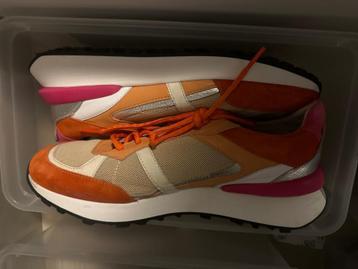 Nieuwe piedi nudi sneakers multi kleurig  beschikbaar voor biedingen
