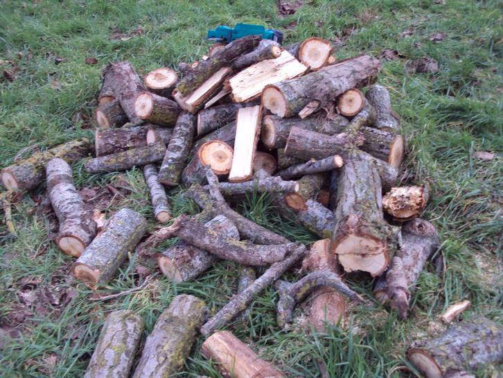 Brandhout, Tuin en Terras, Brandhout, Ophalen