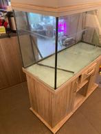 Aquarium te koop in Ekeren, Enlèvement, Utilisé, Aquarium vide