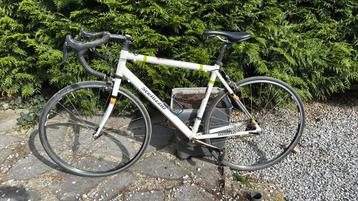 Koersfiets Stellizzio beschikbaar voor biedingen
