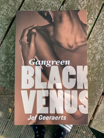 Jef Geeraerts - Black venus beschikbaar voor biedingen