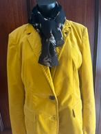 Velours blazer van Comma in nieuwstaat 42, Kleding | Dames, Ophalen of Verzenden, Zo goed als nieuw, Maat 42/44 (L)