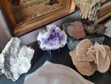 minéral et fossile, Collections, Enlèvement ou Envoi, Fossile