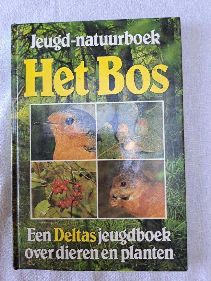 Jeugd-natuurboek, Het bos, Boeken, Kinderboeken | Jeugd | onder 10 jaar, Gelezen, Non-fictie, Ophalen of Verzenden