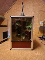 Terrarium, Dieren en Toebehoren, Reptielen en Amfibieën | Toebehoren, Ophalen, Gebruikt, Terrarium of Paludarium