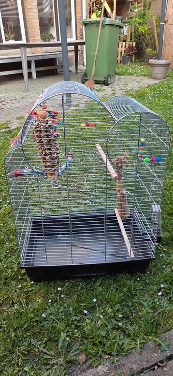 Vogelkooi  beschikbaar voor biedingen