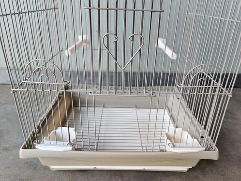 Cage pour perroquets Ruby, Animaux & Accessoires, Oiseaux | Cages & Volières, Neuf, Cage à oiseaux, Métal, Enlèvement ou Envoi