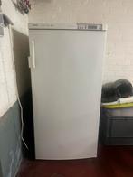 Bosh diepvries 5 vakken, Elektronische apparatuur, Vriezers en Diepvrieskisten, Gebruikt, Energieklasse A of zuiniger, Vrijstaand