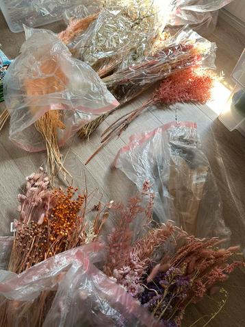 Groot lot droogbloemen beschikbaar voor biedingen