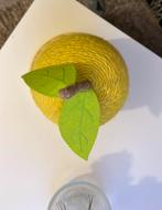 Katten  kraber fruit, Ophalen, Nieuw