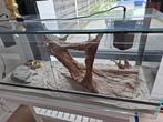 Mooi groot glazen terrarium in perfecte staat, 2 lichtpunten, Dieren en Toebehoren, Ophalen, Zo goed als nieuw, Terrarium of Paludarium