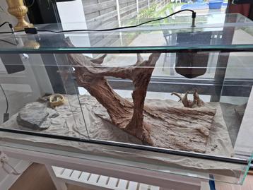 Mooi groot glazen terrarium in perfecte staat, 2 lichtpunten beschikbaar voor biedingen