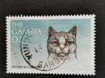 Gambie 1997 - chats - chat domestique, Timbres & Monnaies, Affranchi, Enlèvement ou Envoi, Autres pays