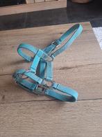 Halster pony, Dieren en Toebehoren, Ophalen, Gebruikt, Recreatie