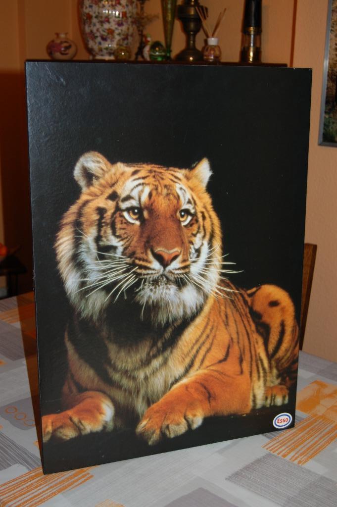 Post aan boord - Thema „Tijgers”., Huis en Inrichting, Woonaccessoires | Lijsten, Nieuw, 50 tot 75 cm, 50 tot 75 cm, Hout, Ophalen of Verzenden